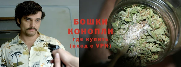 гидра Белоозёрский