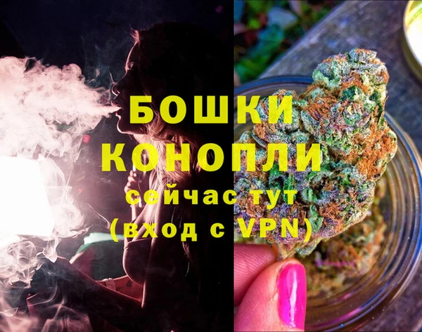 2c-b Богородск