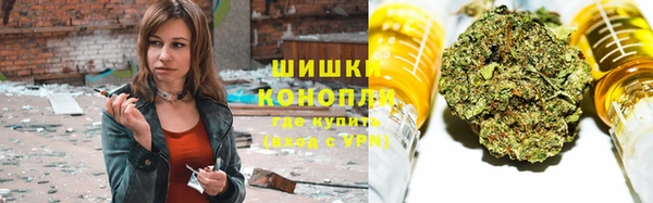 гидра Белоозёрский