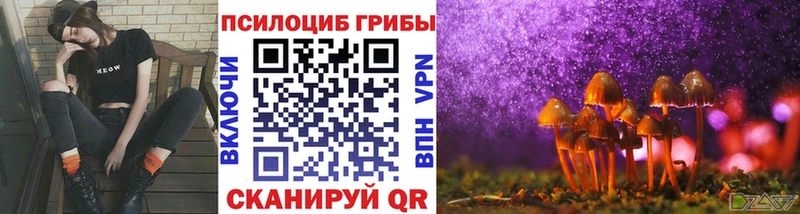 Галлюциногенные грибы Psilocybe  хочу наркоту  Пионерский 